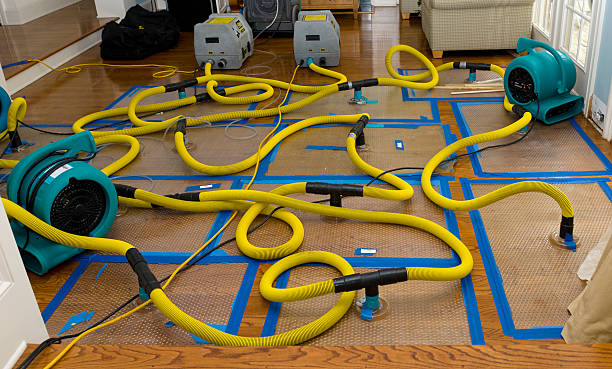 Professional Basement Flood Cleanup technician working in Havre de Grace, MD